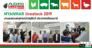 Myanmar livestock 2019