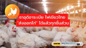 ส่งออกไก่ไทย ไปซาอุ
