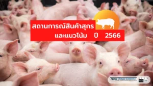 สถานการณ์สินค้าสุกร และ แนวโน้ม ปี 2566