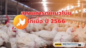 สถานการณ์แนวโน้มไก่เนื้อไทย ปี 2566