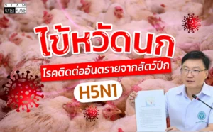 ไข่หวัดนก H5N1