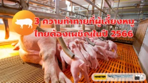 3 ความท้าทายที่ผู้เลี้ยงหมูไทย ต้องเผชิญ ปี 2566