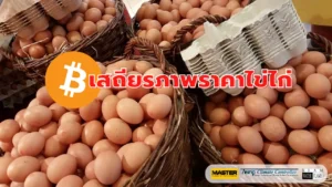 เสถียรภาพ ราคาไข่ไก่