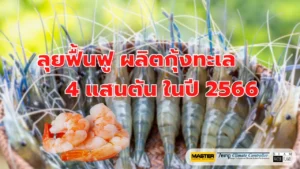เลี้ยงกุ้ง ปี 2566