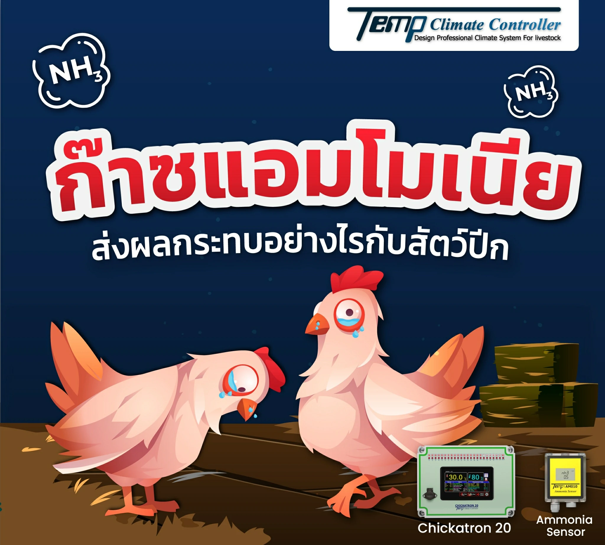 How does ammonia affect poultry