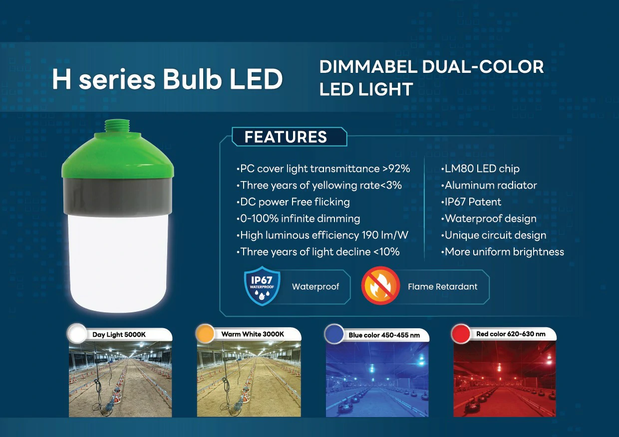 Chicken Farm Lighting